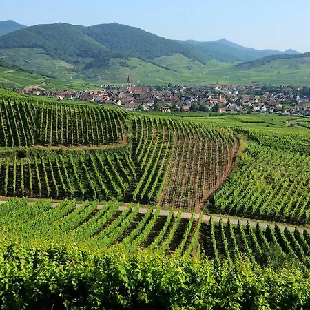 Petite Venise Saint Pierre 2 Pièces 3 étoiles Classement Tourisme