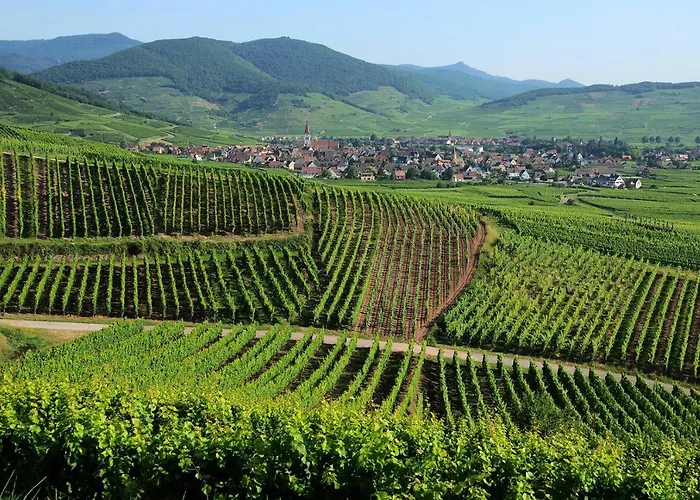 Petite Venise Saint Pierre 2 Pieces 3 Etoiles Classement Tourisme